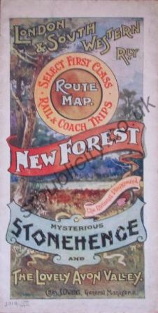 New Forest